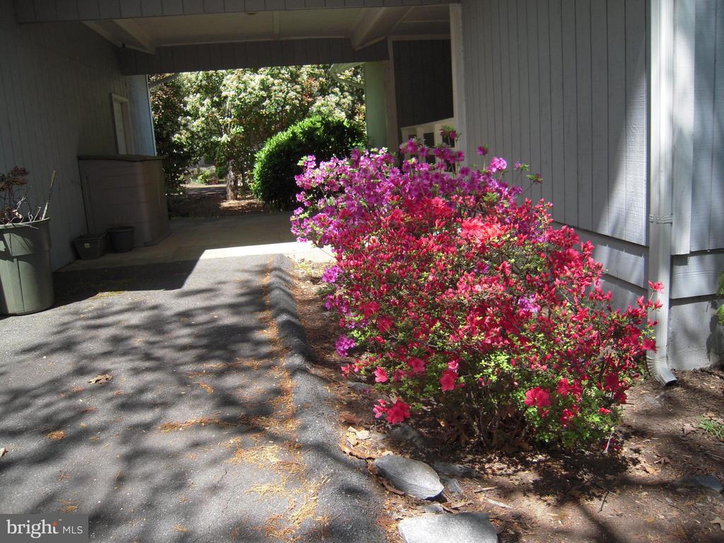 315 WAKEFIELD DRIVE