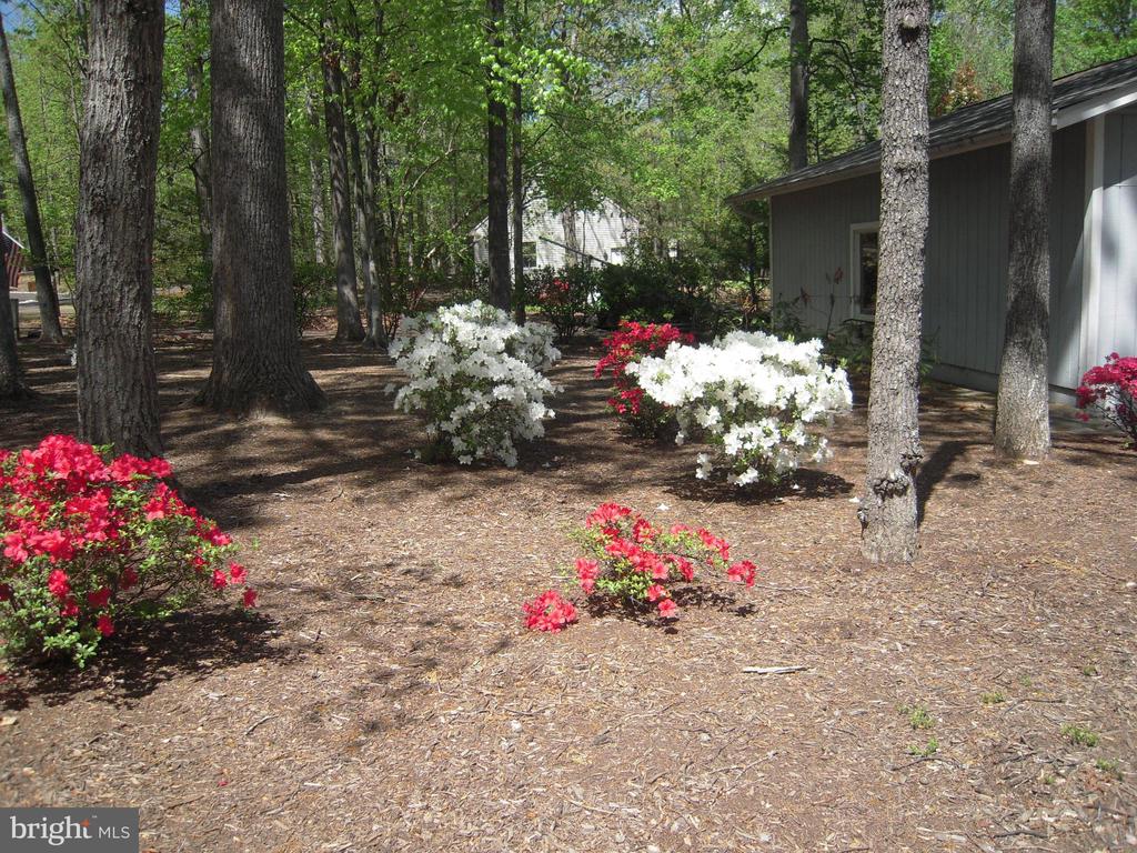 315 WAKEFIELD DRIVE
