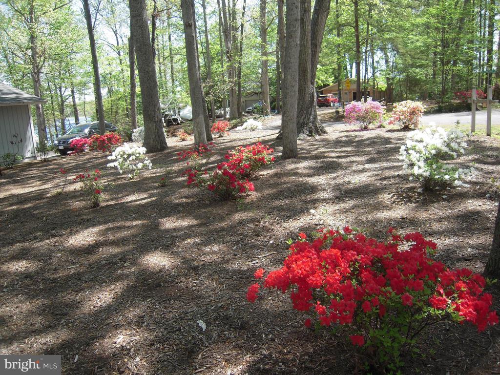 315 WAKEFIELD DRIVE