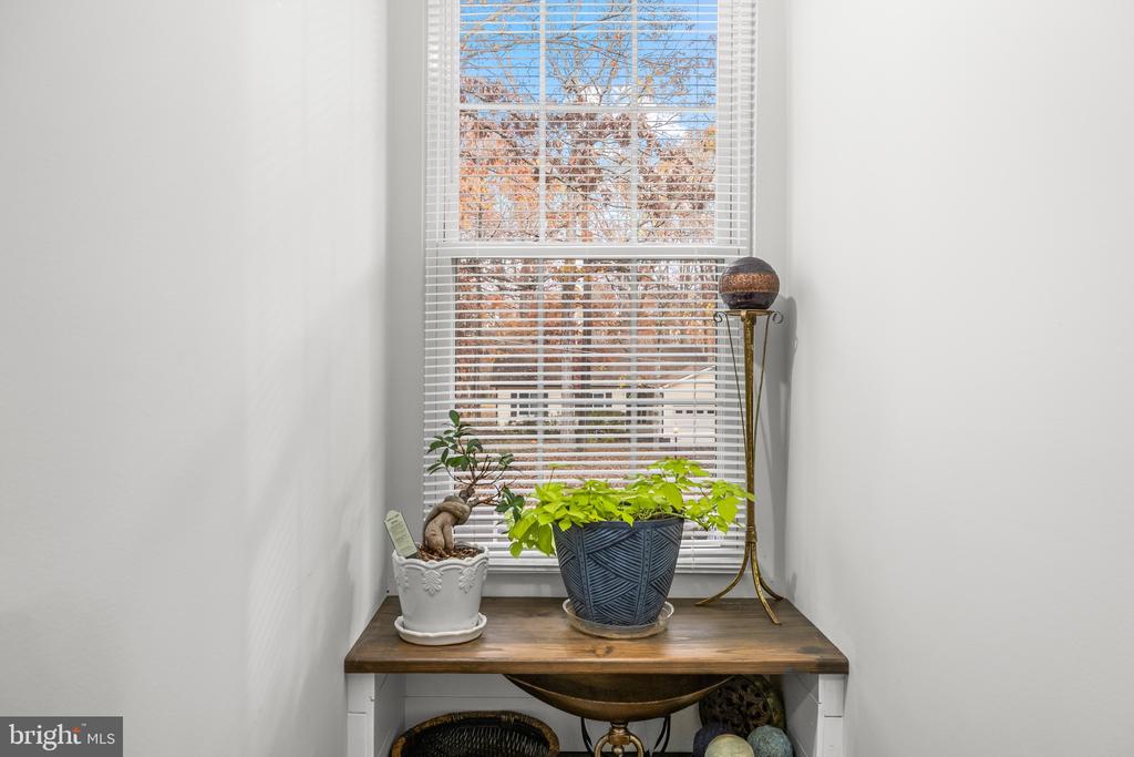 517 MT PLEASANT