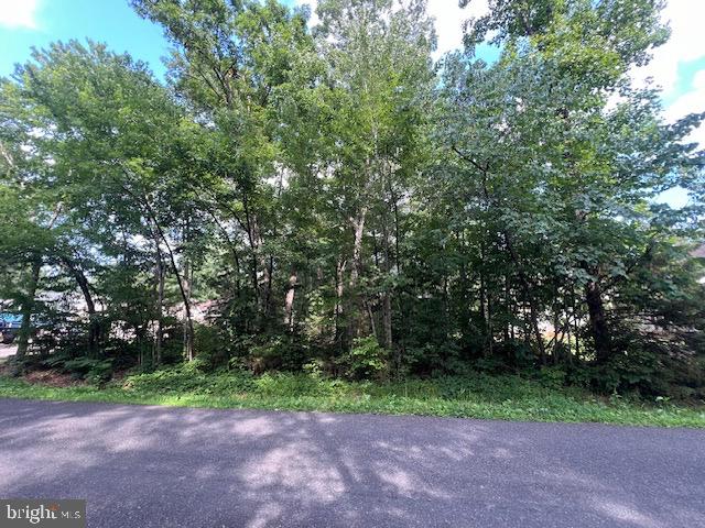 507 LIBERTY BOULEVARD