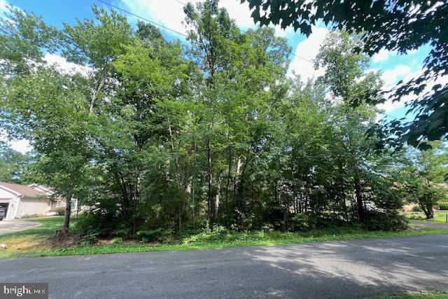 507 LIBERTY BOULEVARD