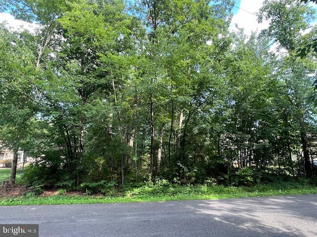507 LIBERTY BOULEVARD