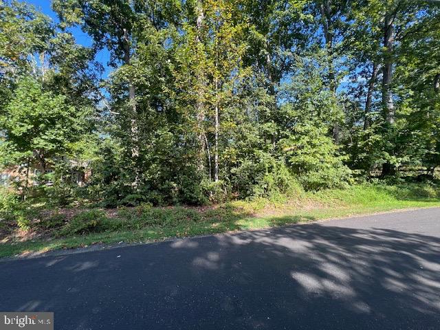 206 SAYLERS CREEK ROAD