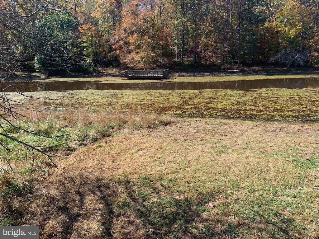 28282 RACCOON FORD ROAD