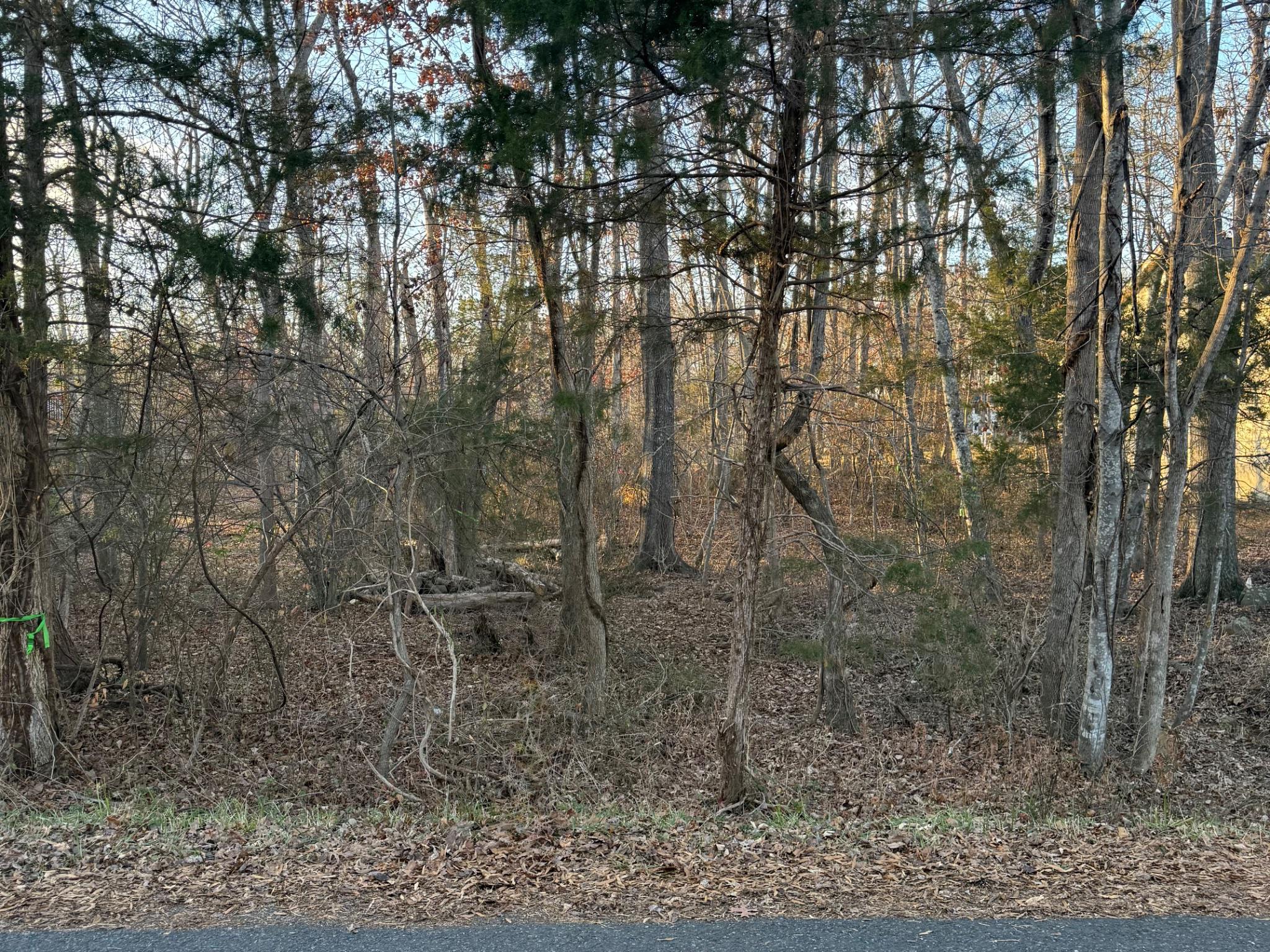 119 REPUBLIC AVENUE