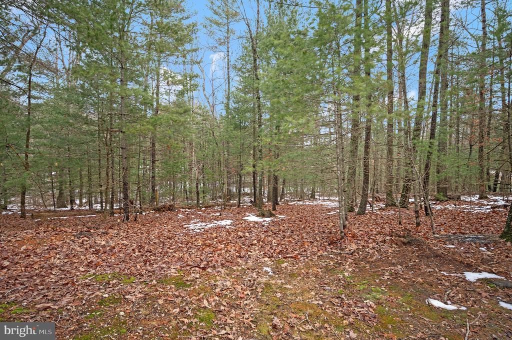 23145 WALKERS BRANCH ROAD