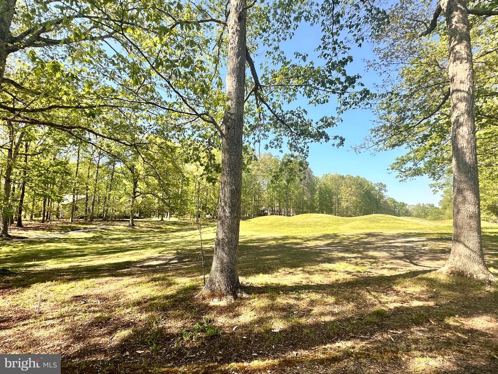 510 BIRDIE ROAD