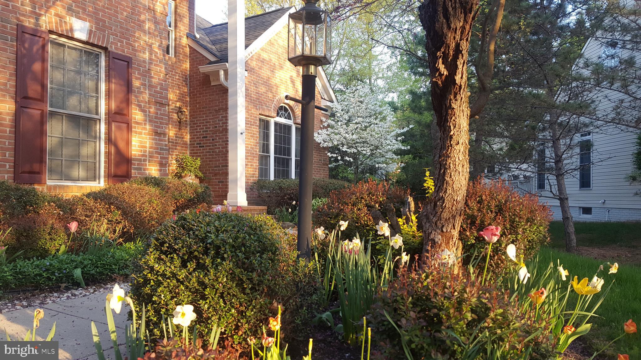 8040 ARCADIAN SHORE COURT