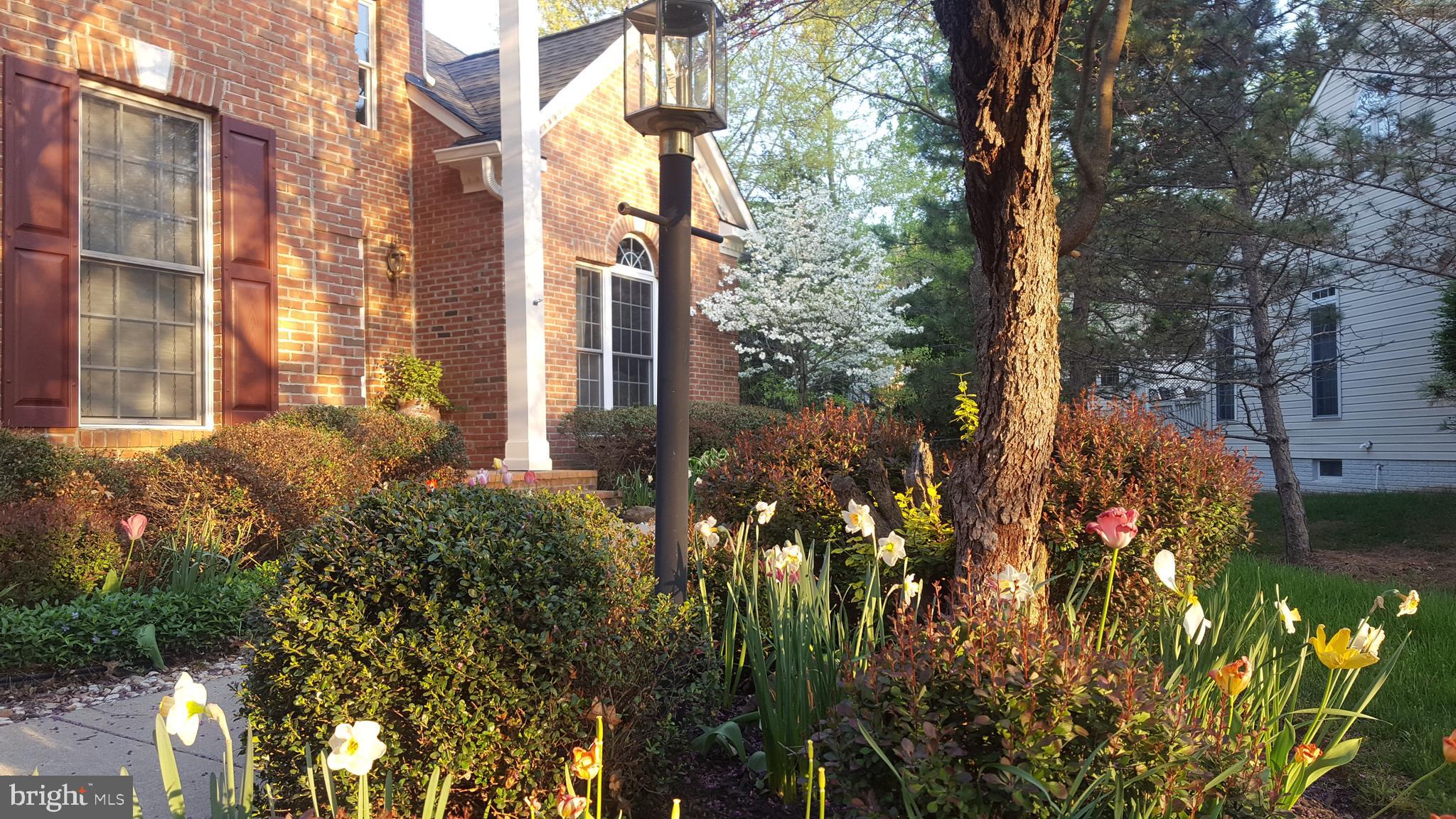 8040 ARCADIAN SHORE COURT