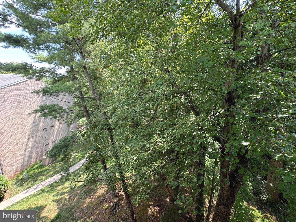 1531 COLONIAL DRIVE 302