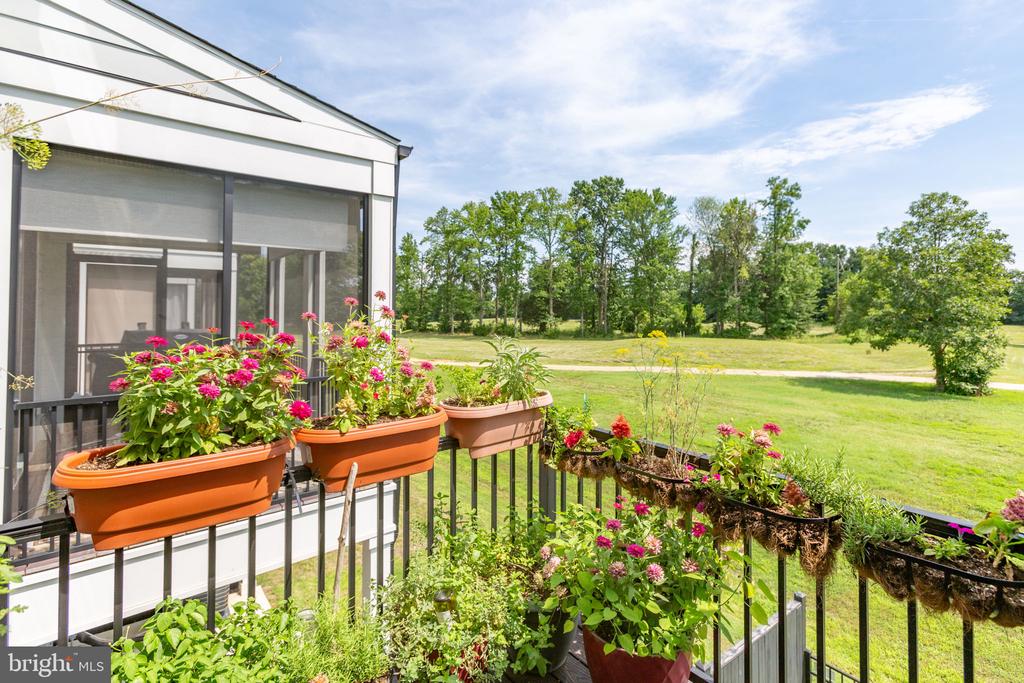 609 ANGELFISH WAY
