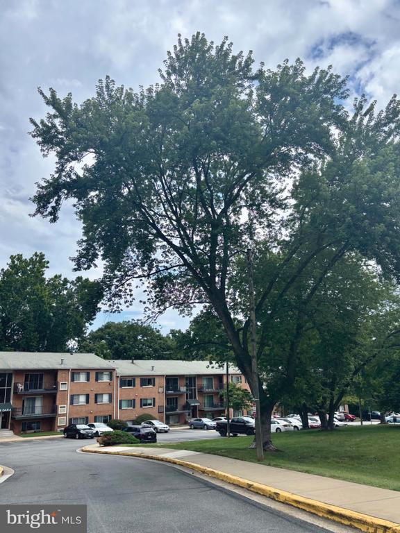 12652 DARA DRIVE Unit: 301