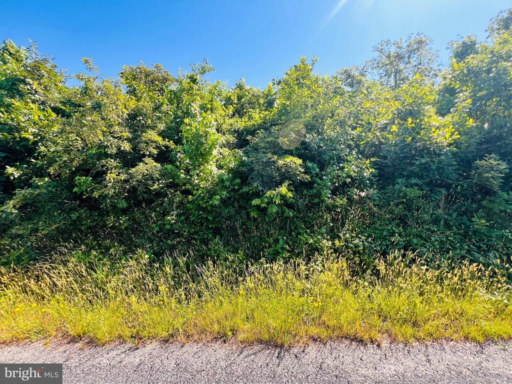 0 FOREST ROAD