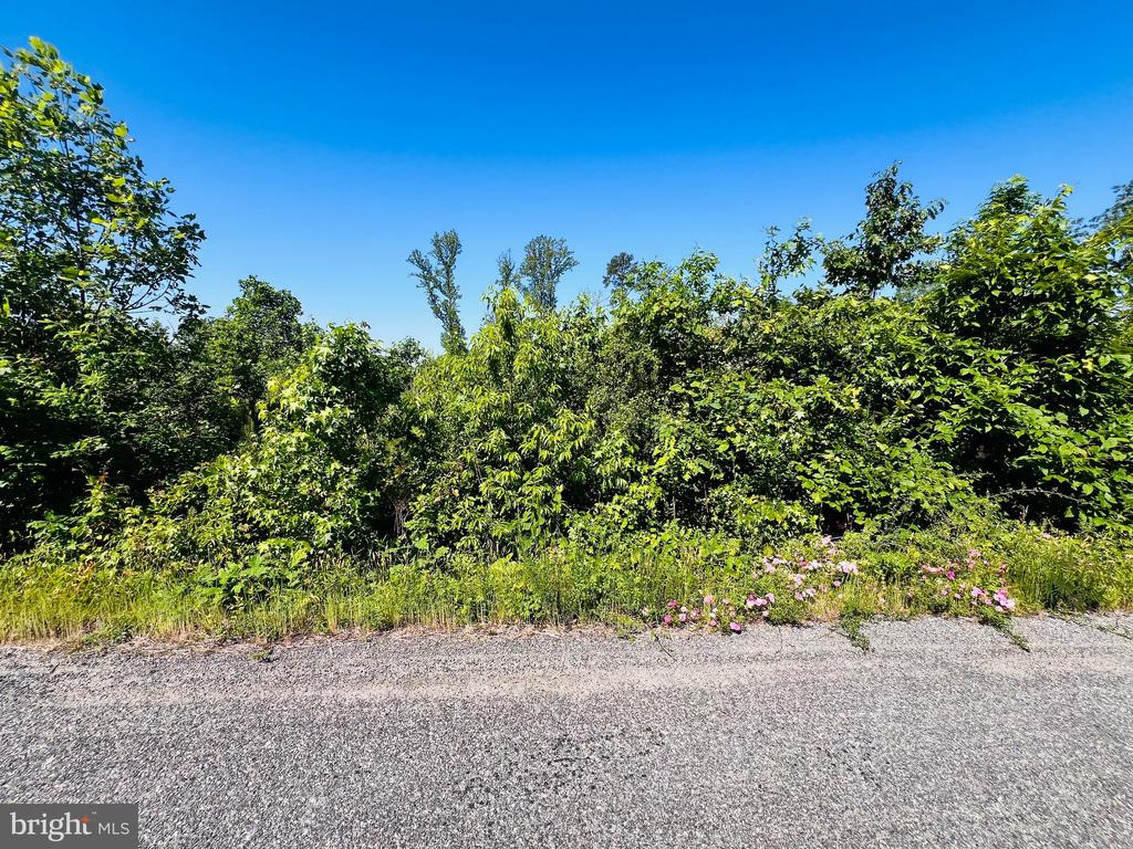 0 FOREST ROAD