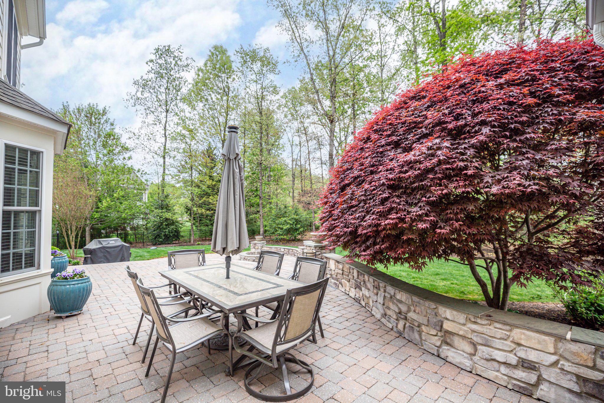 11422 BLUFFS RIDGE