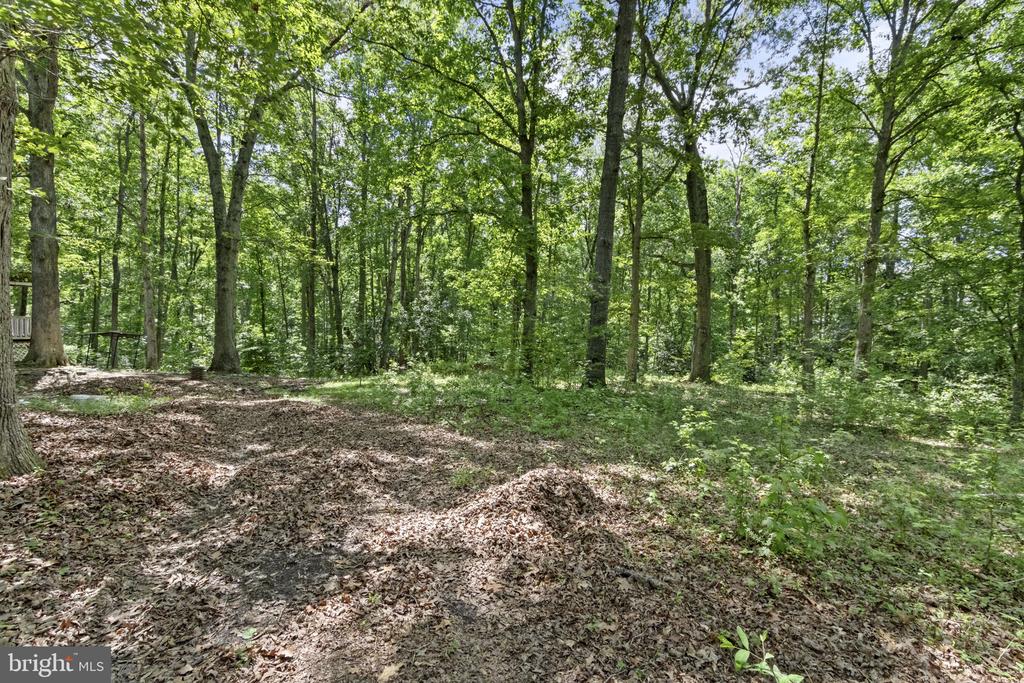 13010 SPOTSWOOD FURNACE ROAD