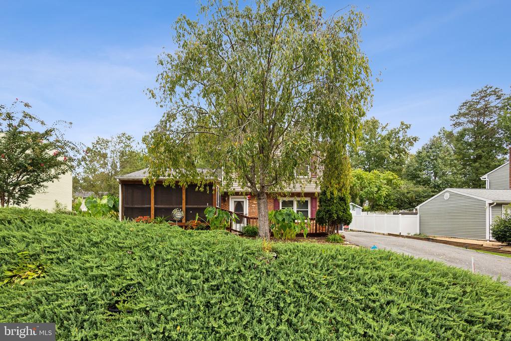 7011 LOMBARD LANE