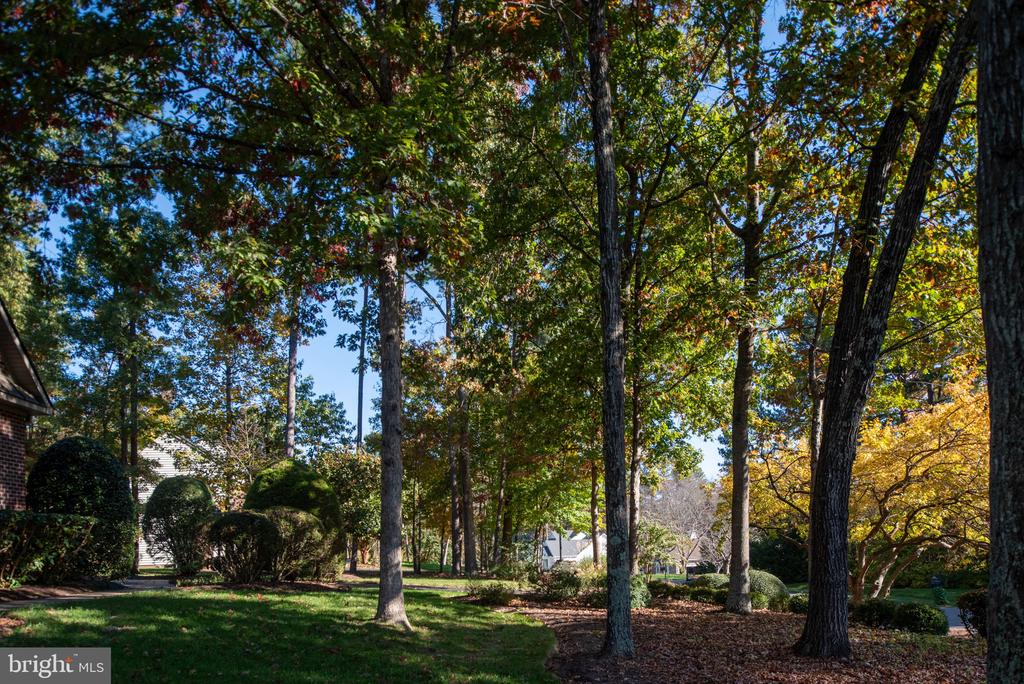 11604 GENERAL WADSWORTH DRIVE