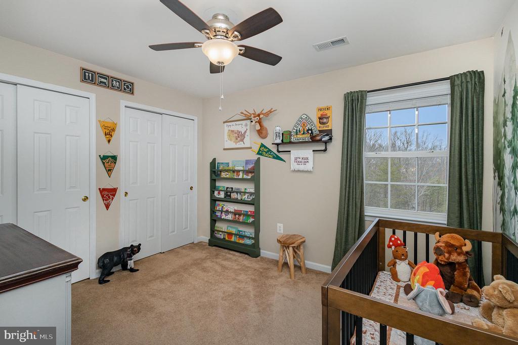 10114 LEES CROSSING LANE