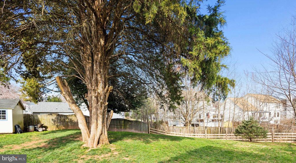 7007 CEDAR CREST DRIVE