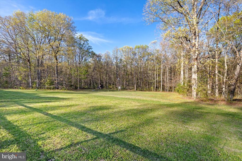 13037 ORANGE PLANK ROAD
