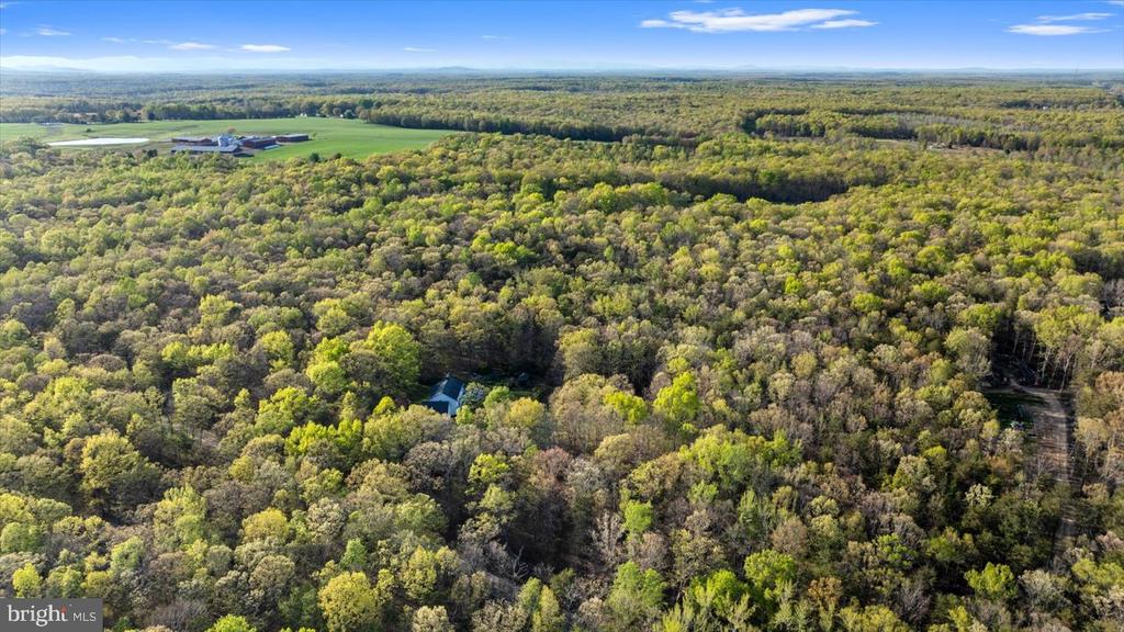 13037 ORANGE PLANK ROAD