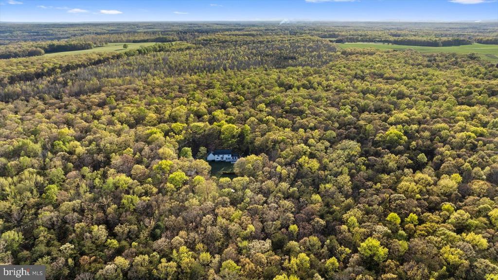 13037 ORANGE PLANK ROAD