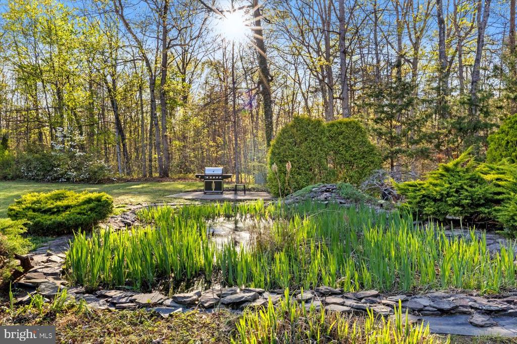 13037 ORANGE PLANK ROAD