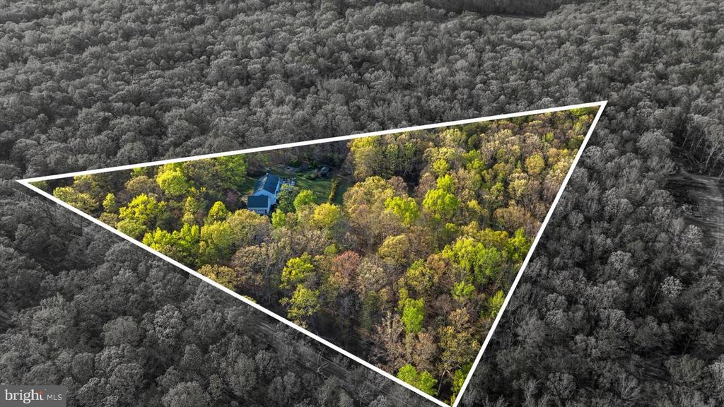 13037 ORANGE PLANK ROAD