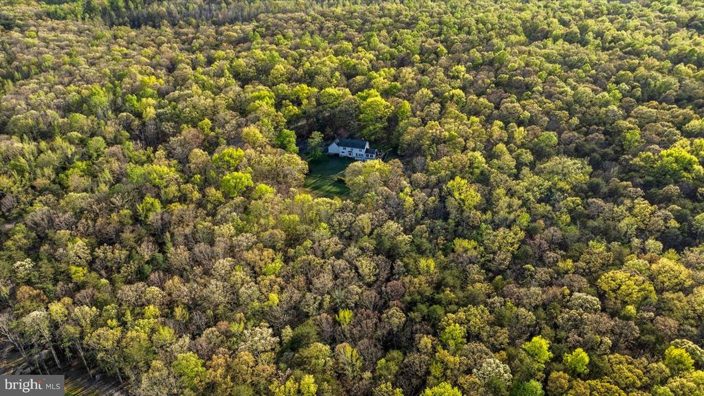 13037 ORANGE PLANK ROAD