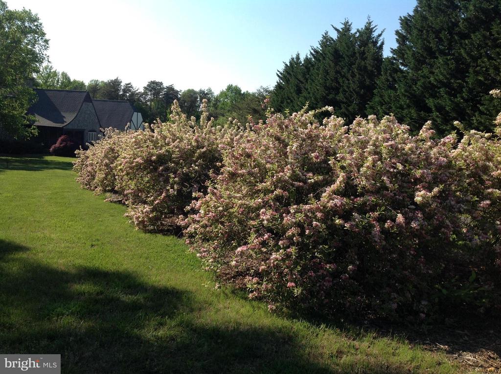 12520 PAIGE LANE