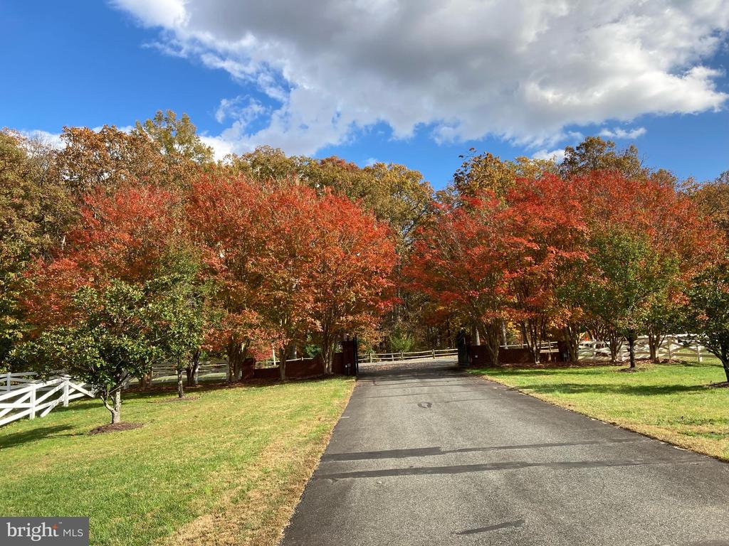 12520 PAIGE LANE