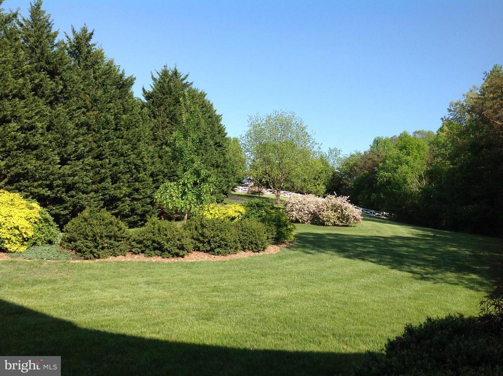 12520 PAIGE LANE