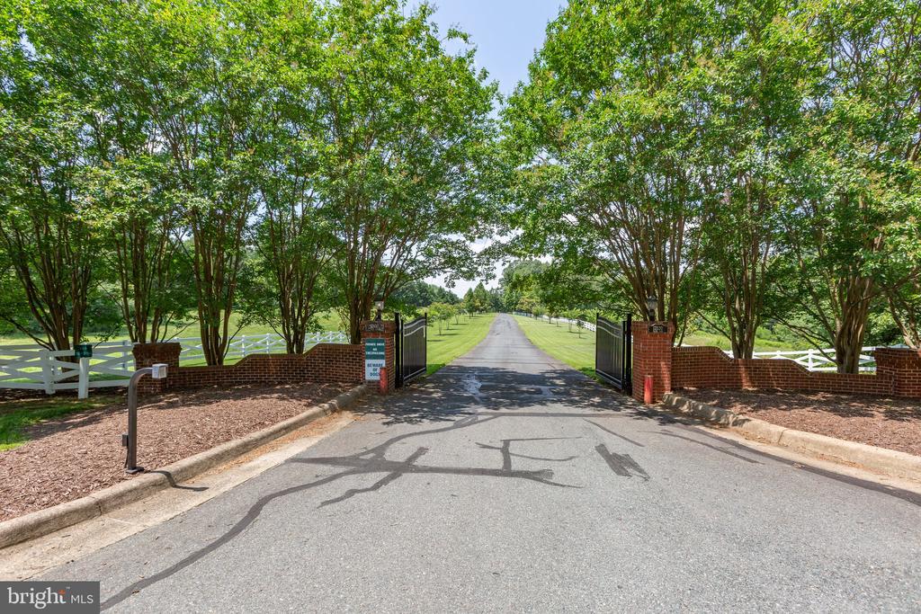 12520 PAIGE LANE