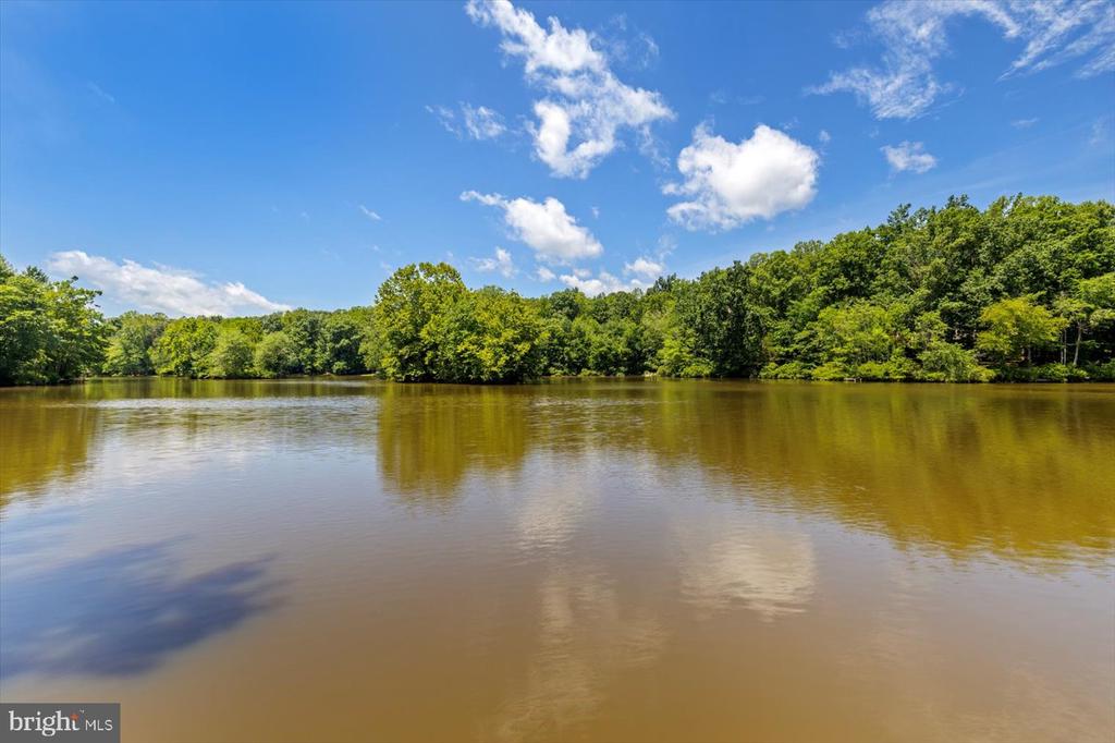 12803 LAKE WILDERNESS LANE