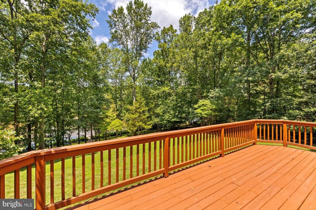 12803 LAKE WILDERNESS LANE