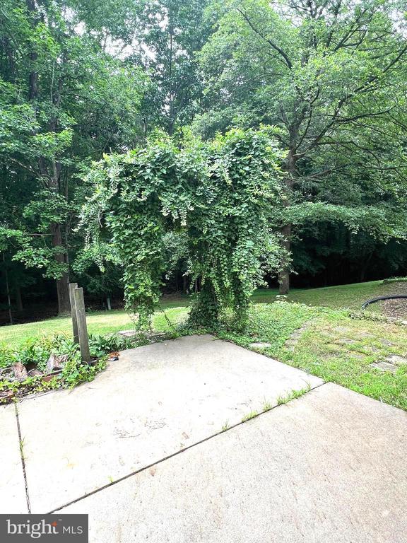 1906 COLEMAN LANE