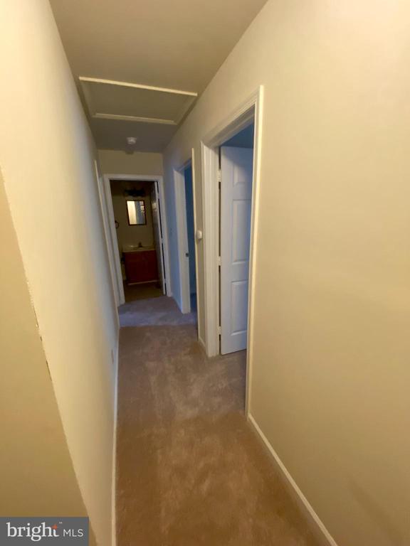 9804 DOMINION FOREST CIRCLE