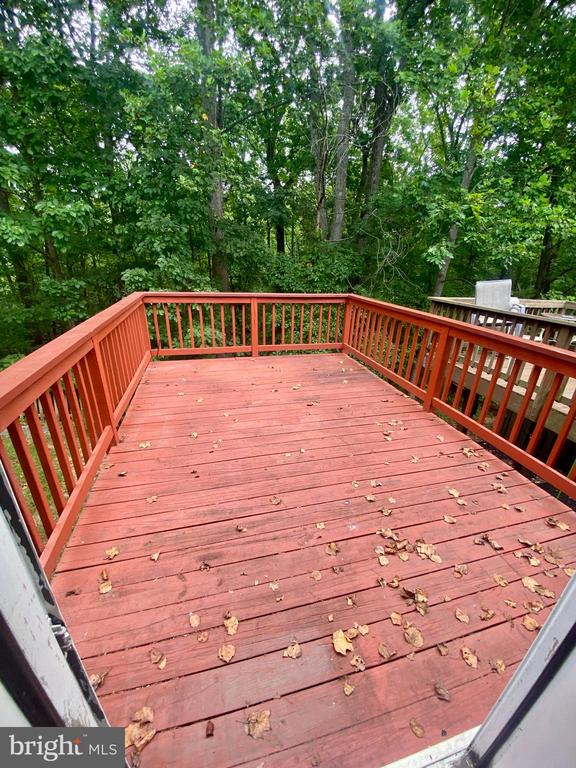 9804 DOMINION FOREST CIRCLE