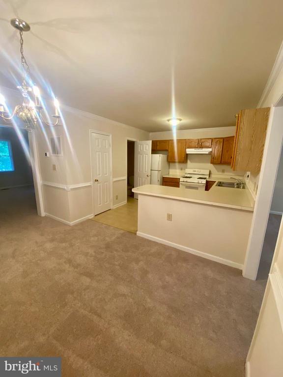 9804 DOMINION FOREST CIRCLE