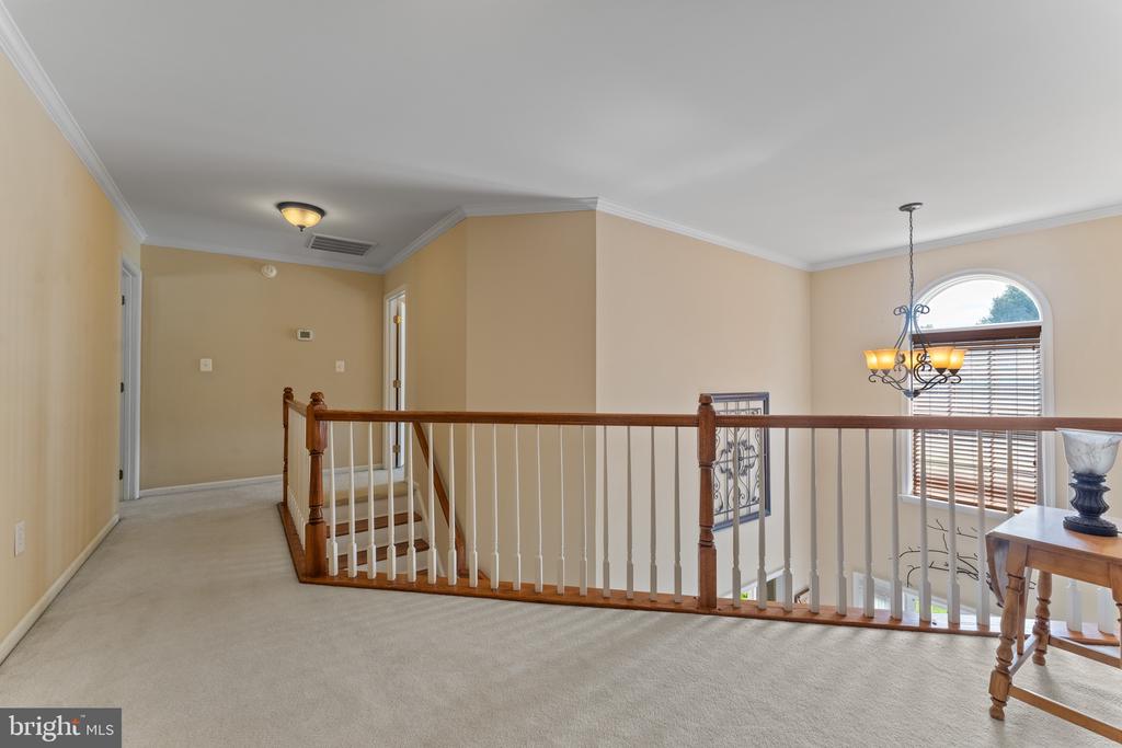 10310 LEES CROSSING LANE