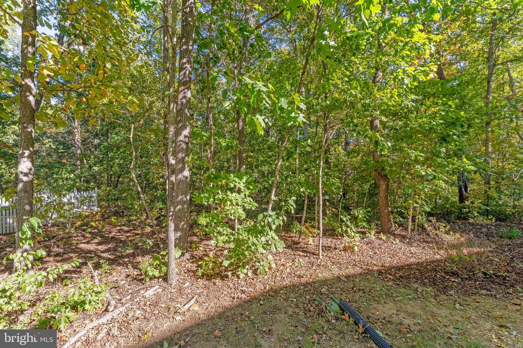9419 HICKORY HILL DRIVE