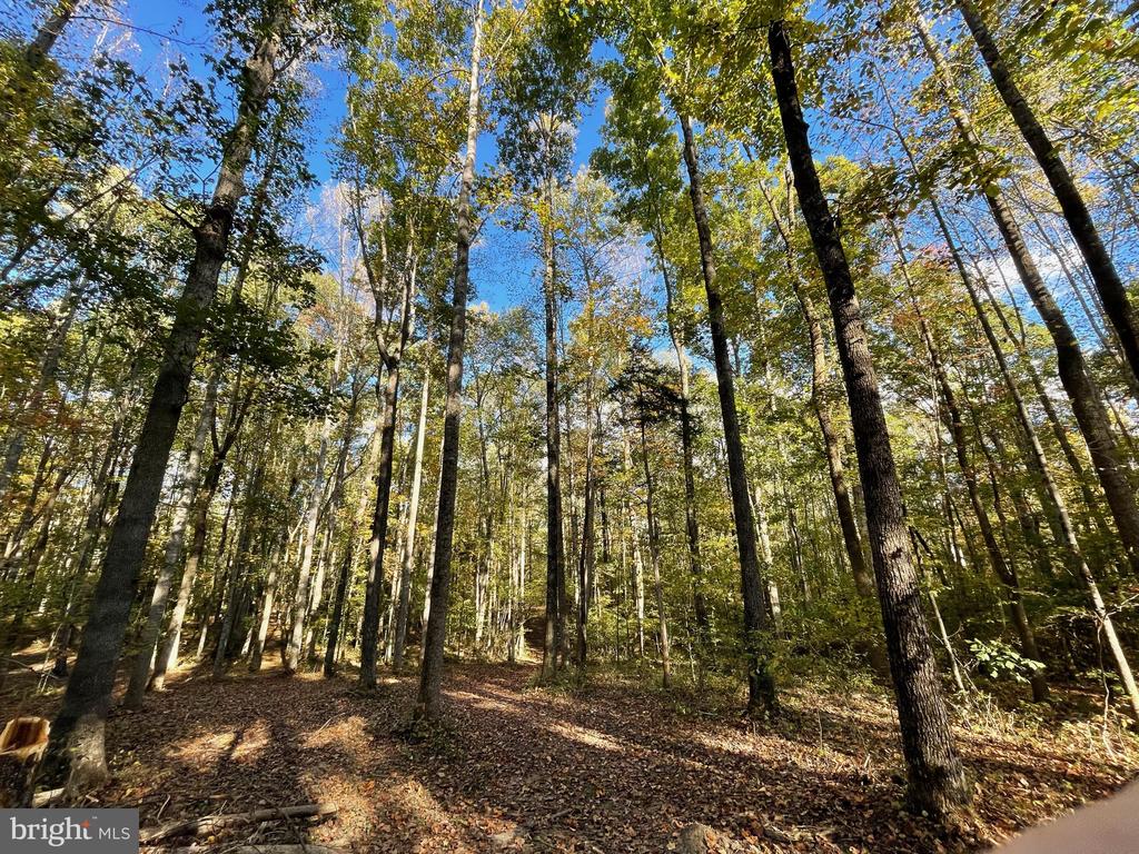 10405 PINEY BRANCH ROAD LOT 2