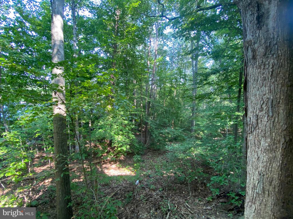 4115 CORBIN HALL LANE