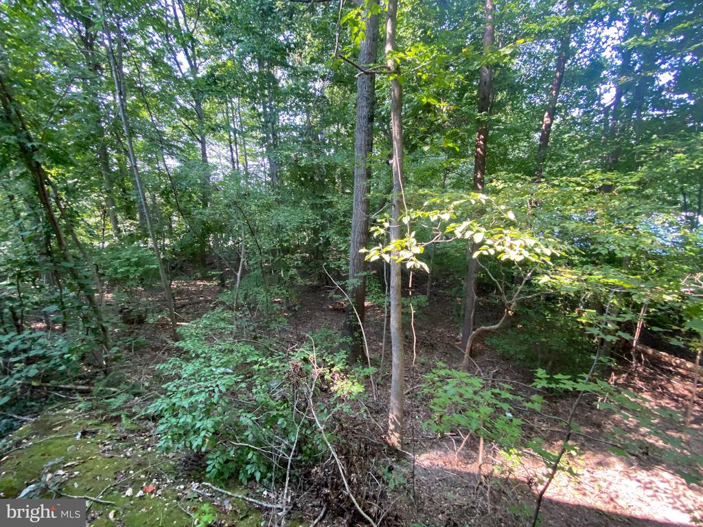4115 CORBIN HALL LANE