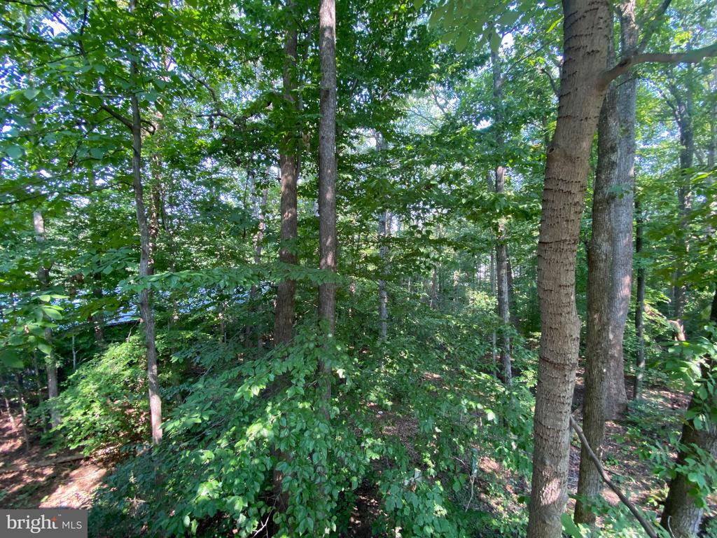 4115 CORBIN HALL LANE
