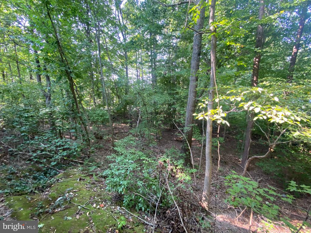 4115 CORBIN HALL LANE