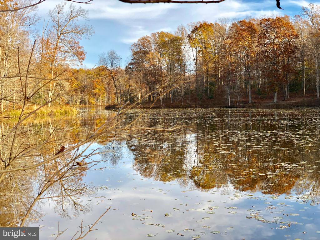 Lot 3 and 4 PINEY BRANCH ROAD