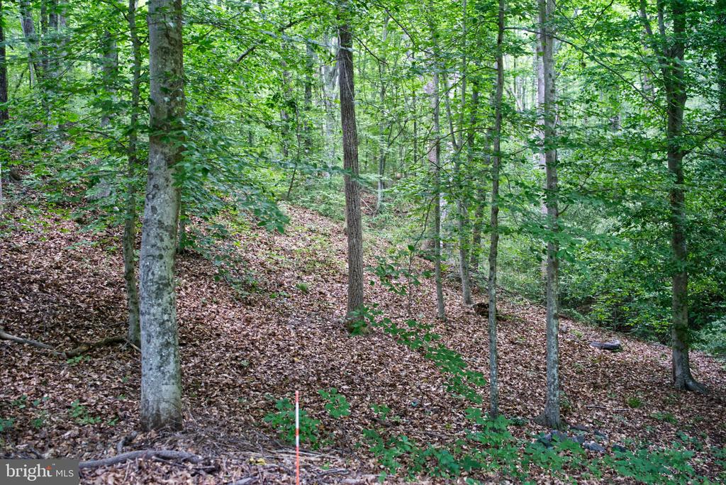 47 WAUCOMA TRL